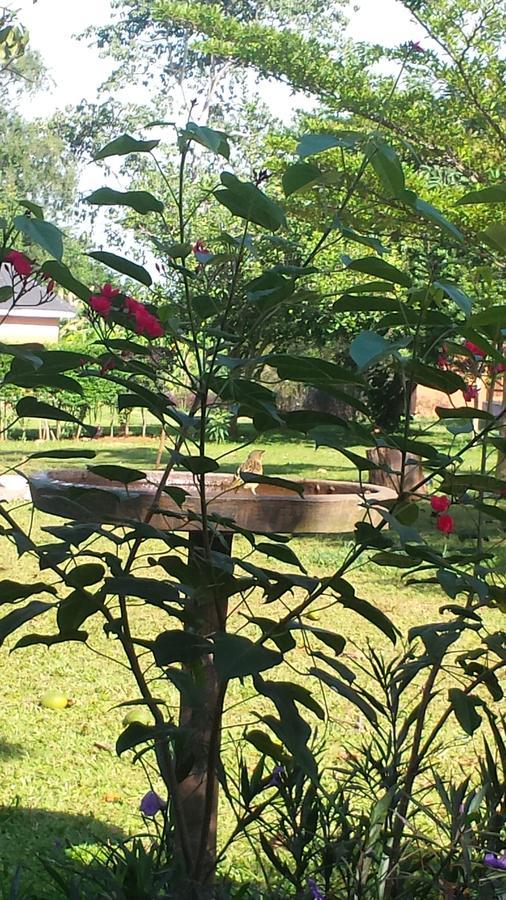 Отель Philo Leisure Gardens Kalangala Экстерьер фото